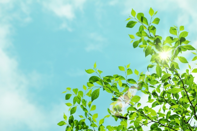 ブドウと梨の農園と賃貸経営を夫婦で分担して取り組んでいます　～オーナー様インタビュー55～