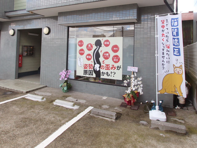 不調の原因を見極め 健康な身体づくりをお手伝い -セルフクリエイト カイロプラクティック 厚木院-