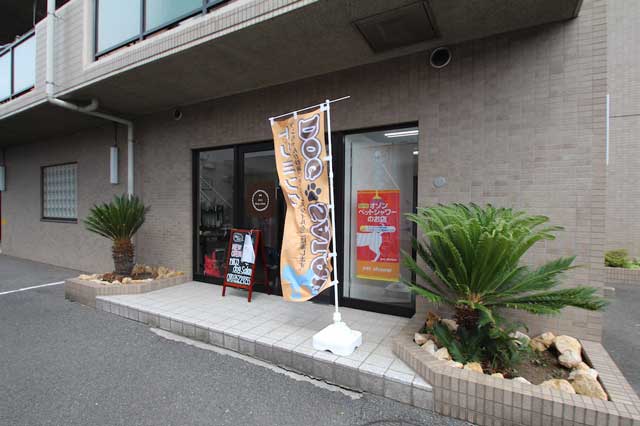 小型犬専門のプライベートドッグサロン「nico dog salon」完全一人一頭制で他のわんこが苦手な子も安心!