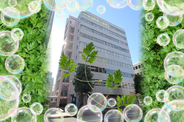 ココロとカラダが満たされる 完全個室のプライベートサロン -よもぎ蒸し温活サロンSHiRo-
