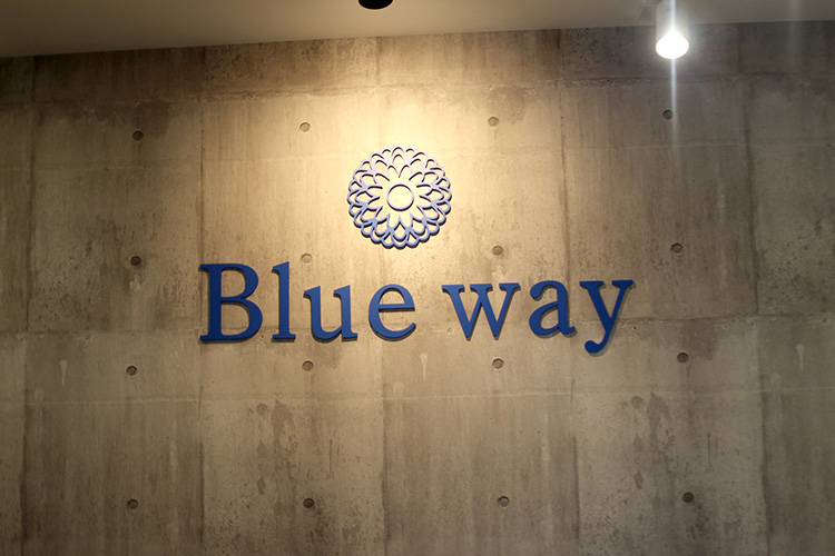 blueway1.jpg