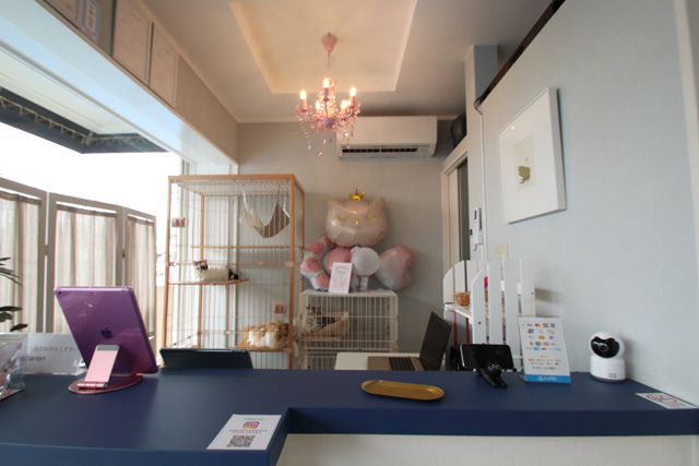 店内1