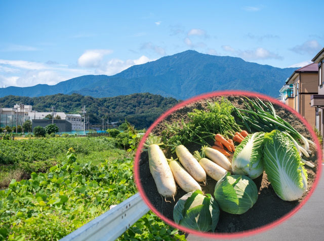 賃貸アパートを数棟所有。自治会活動を行いながらセミナーに参加しています　～オーナー様インタビュー50～