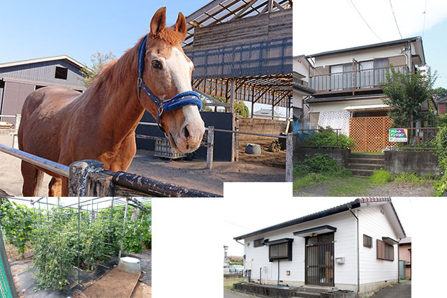 6棟の戸建賃貸はいつでも満室...「長く安定した経営を続けています」~オーナー様インタビュー23~